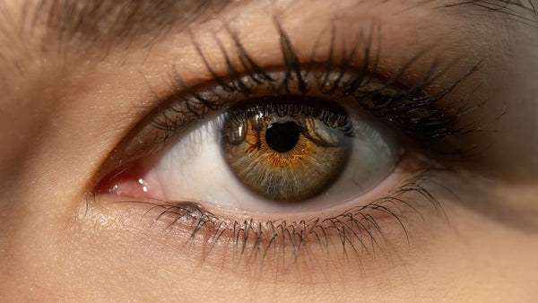 Bariyer Lipidleri Nasıl Çalışır? Stratum Corneum'un Fizik ve Kimyası — cilt bariyeri bakımı | CIRÈLL