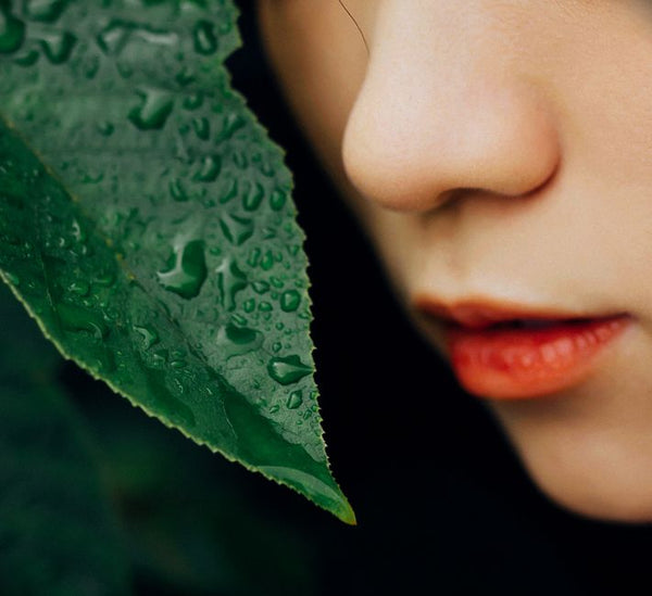 Phytosphingosine Nedir? Ciltteki Rolü ve Bariyer Desteği — cilt bariyeri bakımı | CIRÈLL